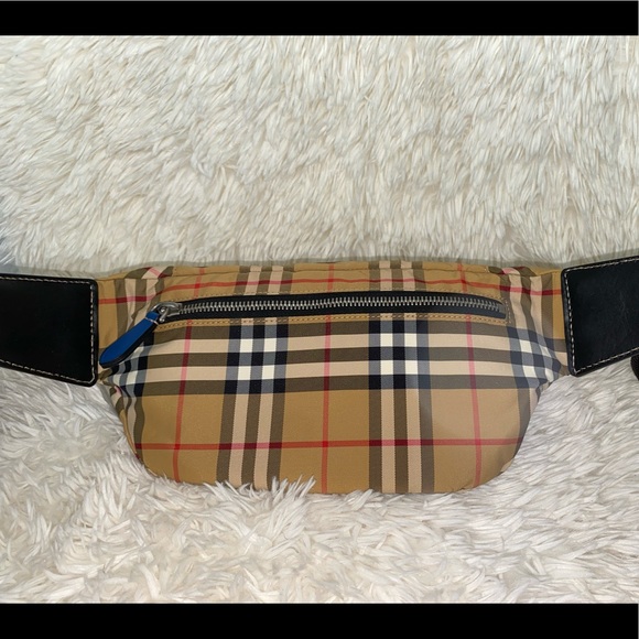 Burberry Beige Canvas Sunny Bumbag - Picture 5 of 10